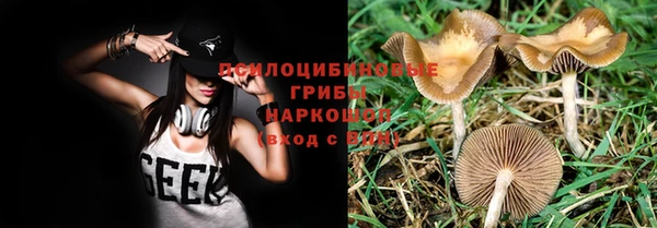 дживик Белоозёрский