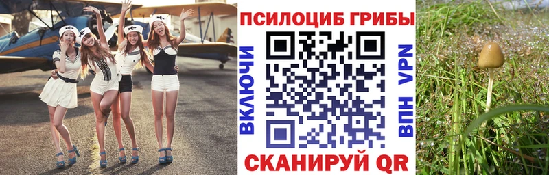 закладки  Новый Уренгой  МЕГА сайт  Псилоцибиновые грибы Cubensis 
